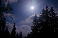 starry-night-dark-forest-carpathisn-mountains-ukraine-47955970